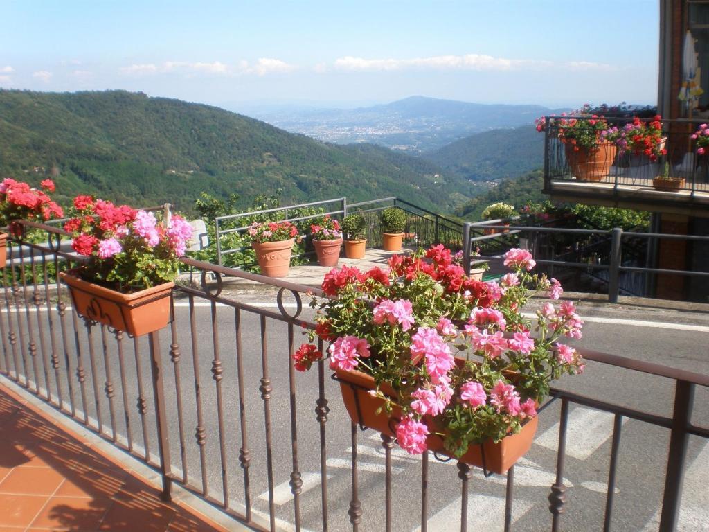Amelia Hotel Momigno Bagian luar foto